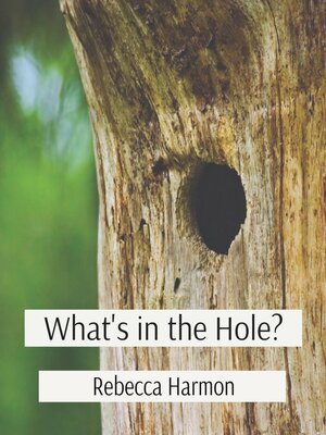 cover image of What's in the Hole?